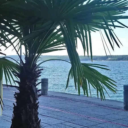 Strada Bella Solar Energy