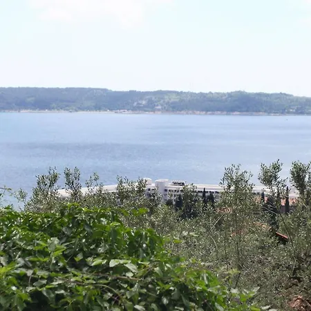 Strada Bella Solar Energy *