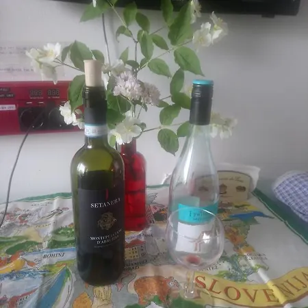 Strada Bella Solar Energy Portorož