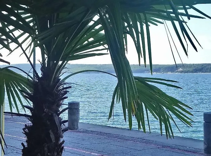 Strada Bella Solar Energy